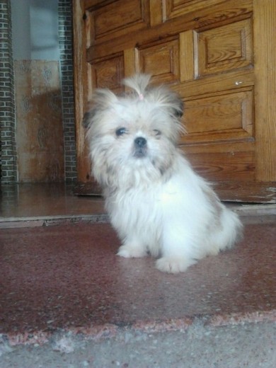 Mirando la calle